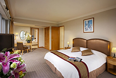 Harbour Plaza Resort City (1)