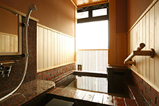 Hida Hanasatonoyu Takayama Ouan (3)