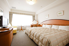 Hida Hotel Plaza (1)
