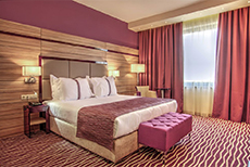 Holiday Inn 1