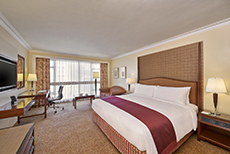 Holiday Inn Golden Mile-01