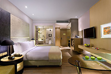 Holiday Inn New Delhi International Airport (1)