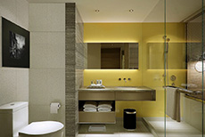 Holiday Inn New Delhi International Airport (3)