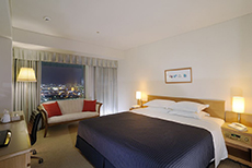 Hotel Emisia Sapporo (1)