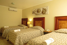 Hotel Las Flores Ica-1