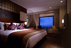 Hotel Metropolitan Tokyo Ikebukuro (2)