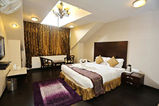Hotel Pine Spring Gulmarg-1