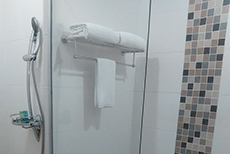 Hotel Puri 36 (3)