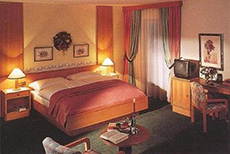 Hotel Regina-3