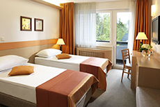 Hotel Savica Garni-1
