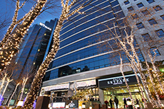 Hotel Skypark Central Myeongdong-3