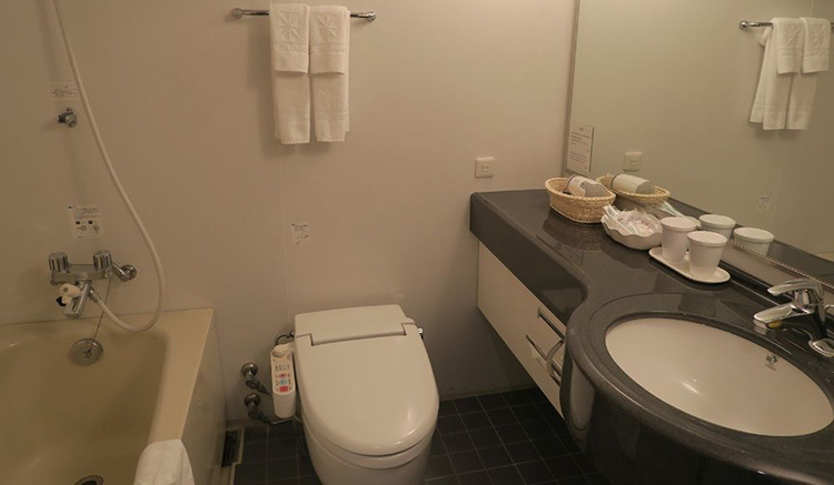 Hotel Sunroute Higashi Shinjuku (3)