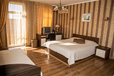 Hotel Tarnava 1