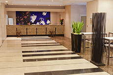 Hotel Villa Fontaine Tokyo-Otemachi (1)