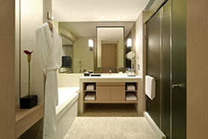 Hyatt Regency Hong Kong, Sha Tin (2)