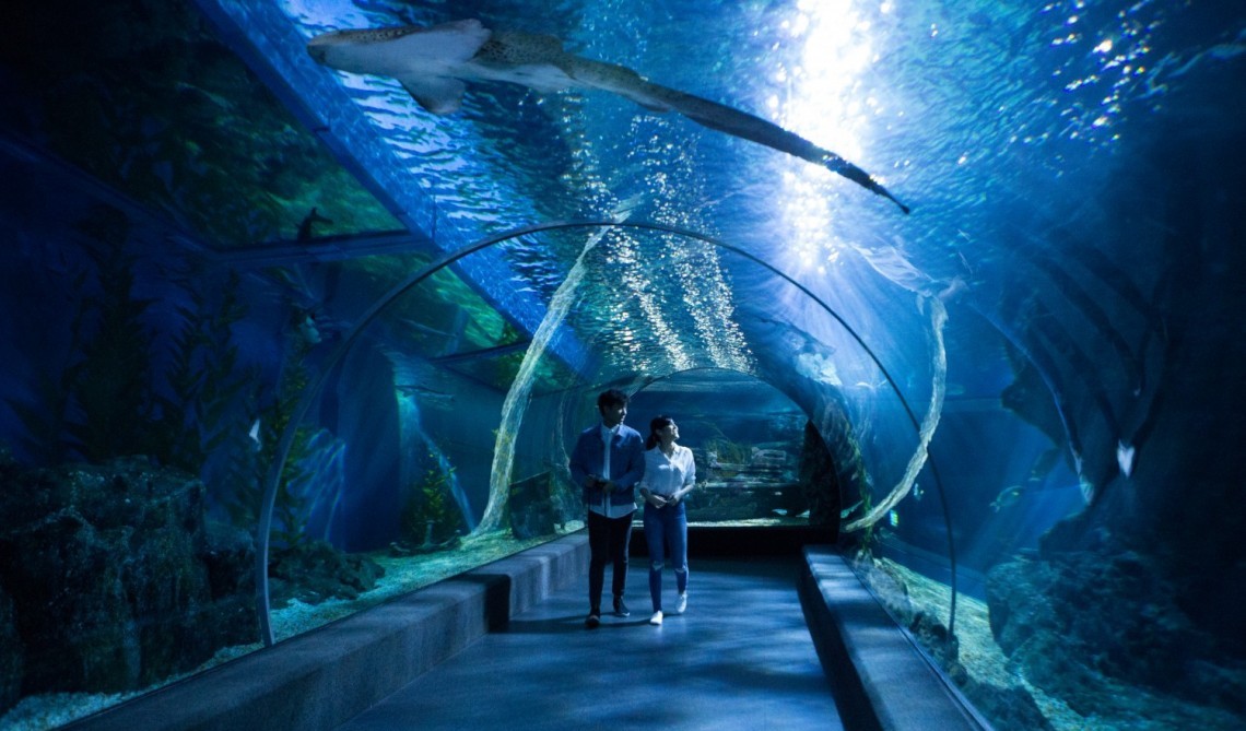 Sea life Bangkok 1