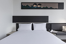 Ibis Adelaide-1