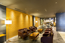 Ibis Styles Sapporo-3