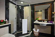 Jaipur, Park Regis Jaipur-2