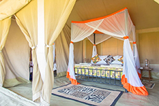 Kenzan Tented Camp-1
