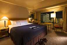 Kobe Bay Sheraton Hotel & Towers (2)