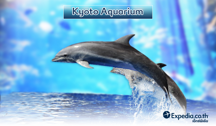 Kyoto Aquarium