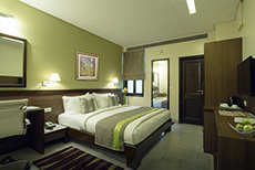 Leisure Inn Grand Chanakya-1
