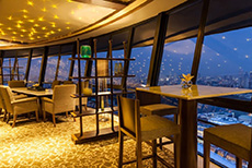 Mandarin Orchard Singapore (3)