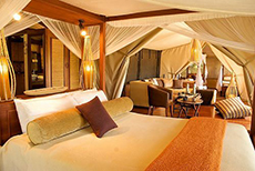 Mara Intrepids Tented Camp-1