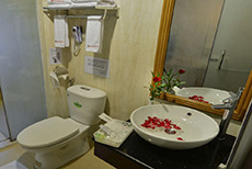 Millennium Hotel (2)