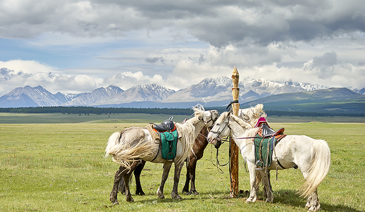 Mongolia-4