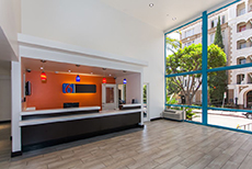 Motel 6 Hollywood (3)