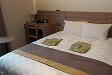 Nippon Seinenkan Hotel (1)