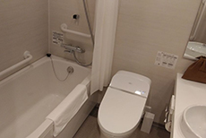 Nippon Seinenkan Hotel (3)