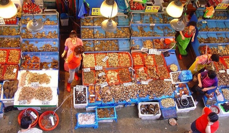 ตลาดปลา_Noryangjin_ประเทศเกาหลี