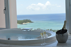Okinawa Marriott Resort & Spa (2)