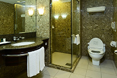 Pacific Regency Hotel Suites (3)