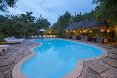 Palm Village Resort & Spa-3
