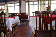 Pangong Paradise (3)