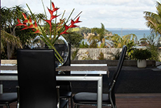 Peninsula Stay Apartments - Pohutukawa and Nikau-3