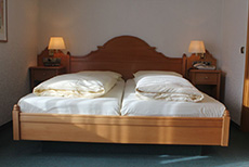 Pohl's Rheinhotel Adler (1)
