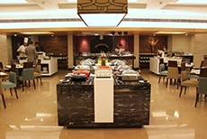 Radisson Hotel Varanasi-3