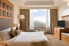Ramada Plaza JHV-1