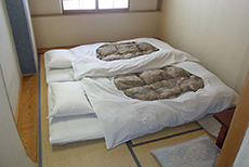 Ryokan Asakusa Shigetsu (2)