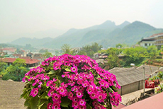 Sapa Local House-1