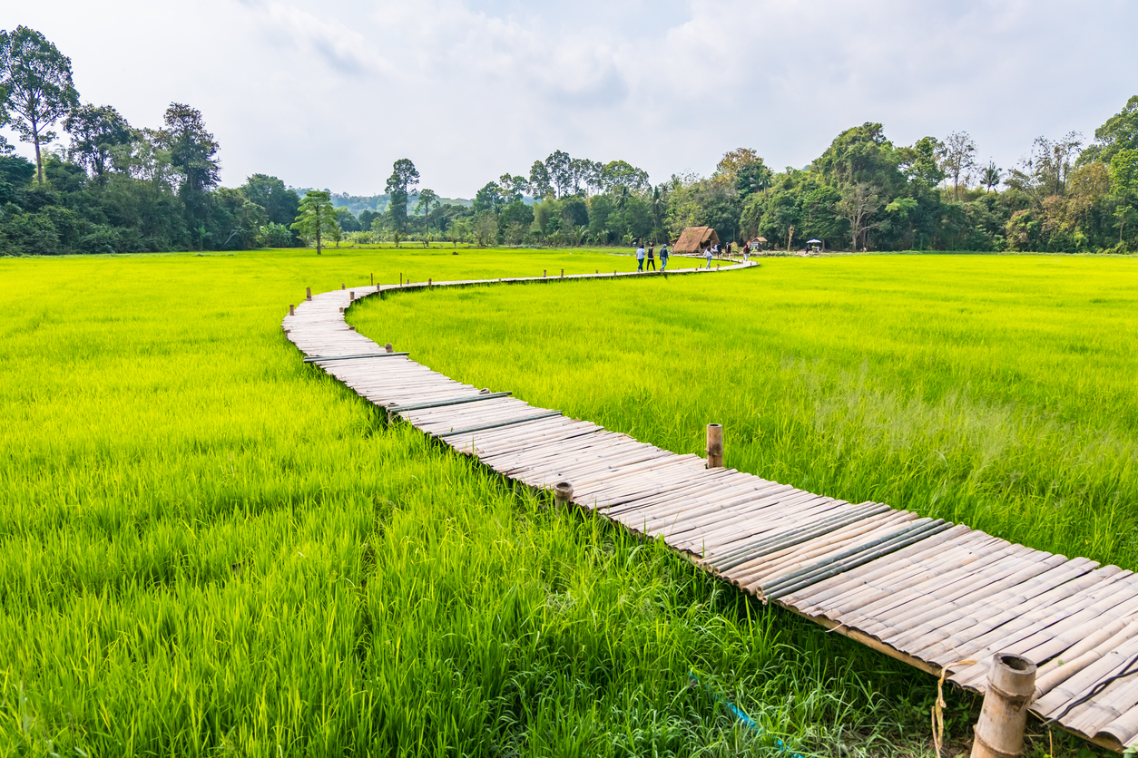 Saphan Thungnamuy-01