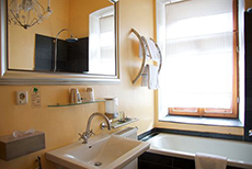 See Hotel Gruner Baum-3