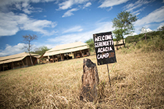 Serengeti Acacia Central Camp-3