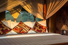 Serengeti Simba Lodge-1