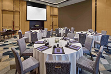 Sofitel Singapore City Centre (3)